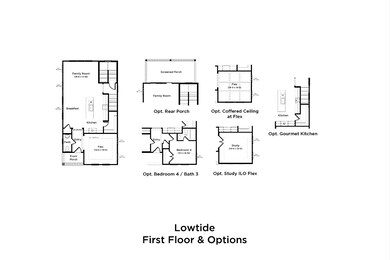 Lowtide first floor and options