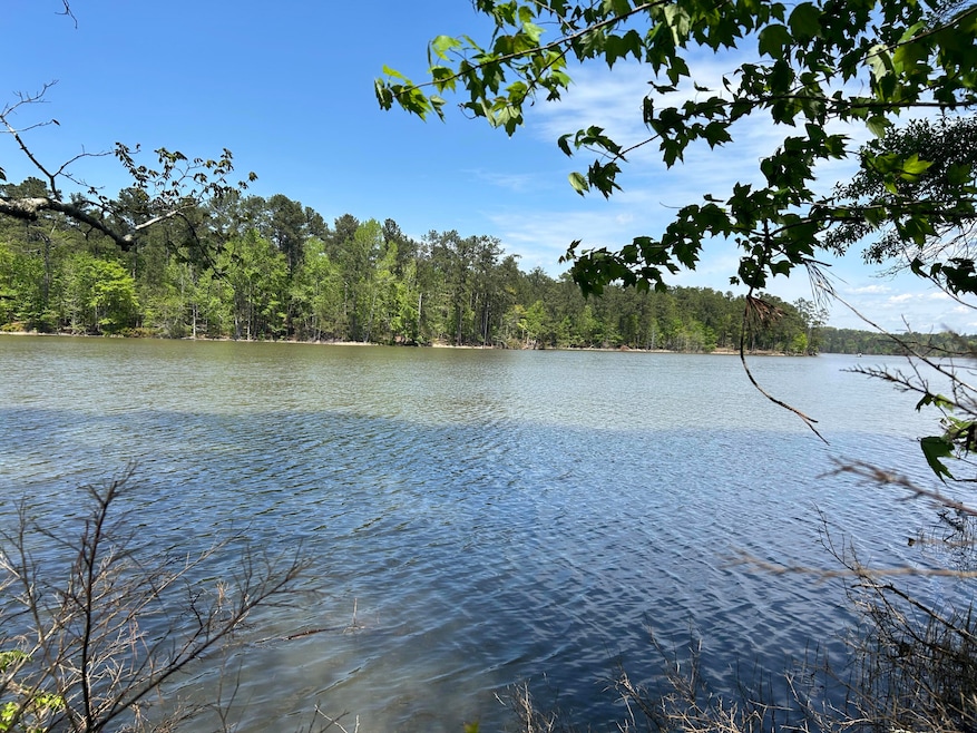 View from back of property