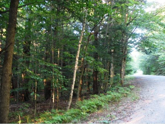 5 Norrie Davies Rd, Cavendish, VT 05142 - photo 1