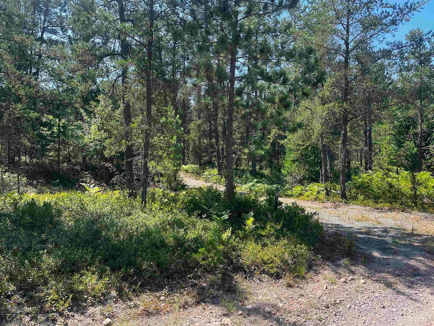 119 Gordon Rd, Harvey, MI 49855 - photo 1