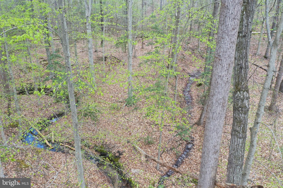 0 Reservation Ln, Reedy Church, VA 22546 - photo 1