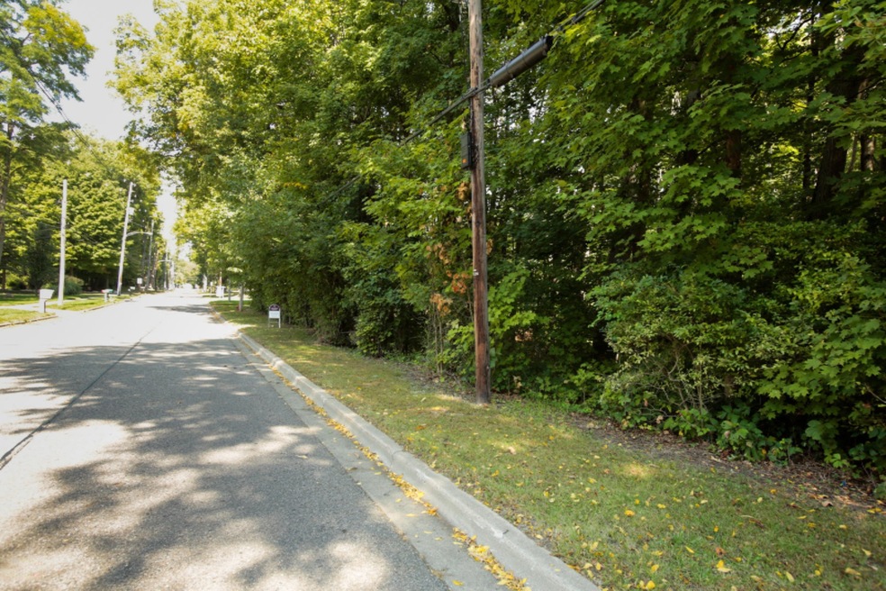 528 N Marshall Ave, Marshall, MI 49068 - photo 1