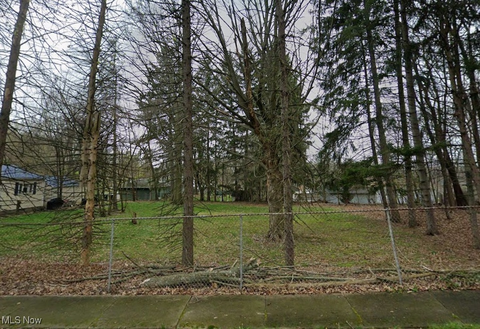 Lot 1 Burbank Ave, Akron, OH 44305 - photo 1