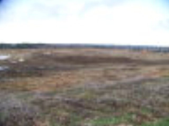 140 Butler Dr, Oxford, MS 38655 - photo 1