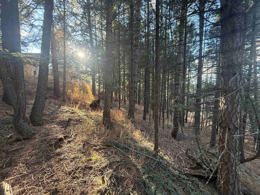 Lot 72 Mammoth Mountain Rd, Angel Fire, NM 87710 - photo 1