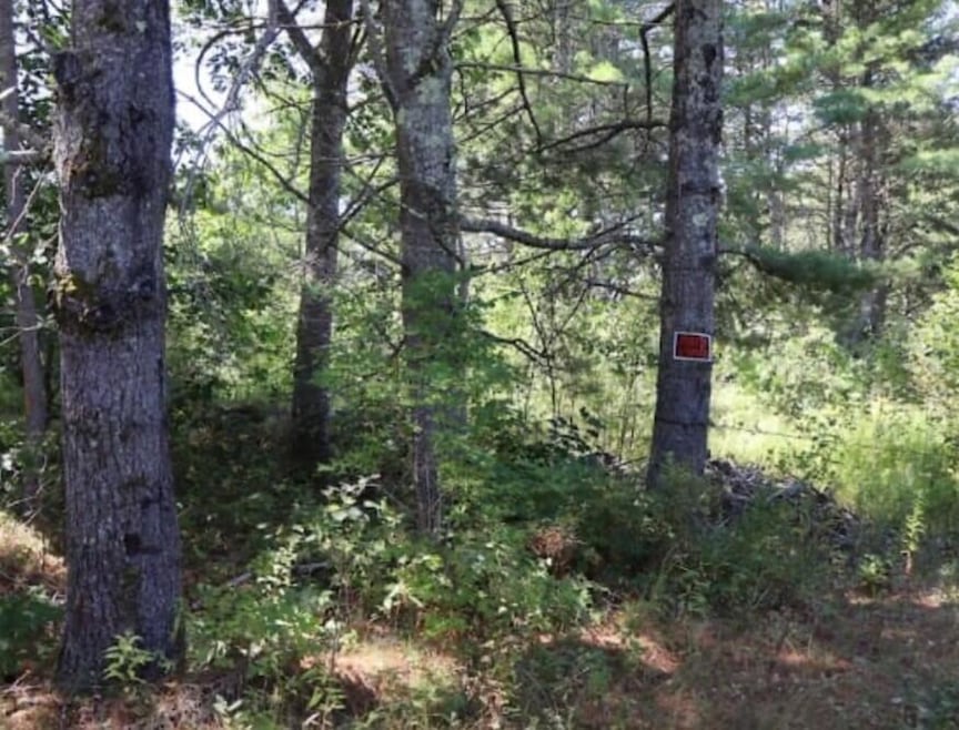 0 Beechwood, Warren, ME 04864 - photo 1