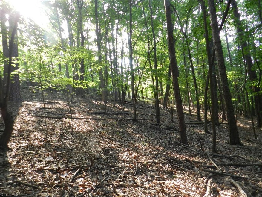 000 Rockridge Rd, Asheboro, NC 27205 - photo 1