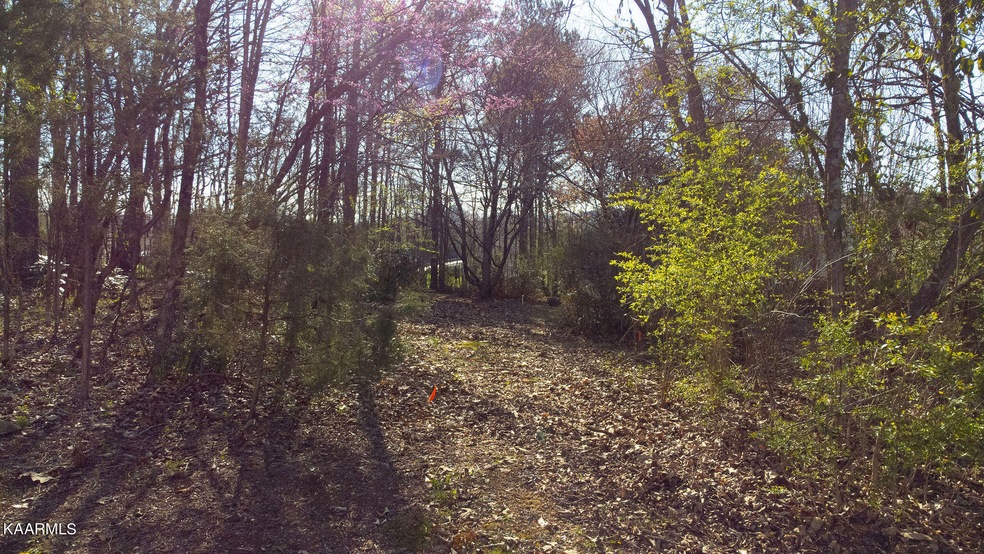 DJI_0888 (1)