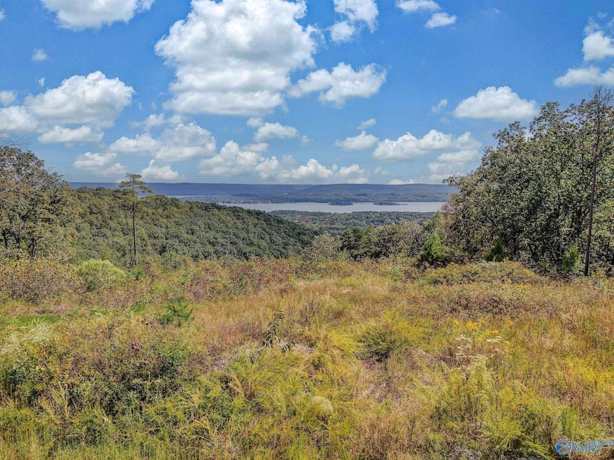 215 Wilson Rd, Scottsboro, AL 35769 - photo 1