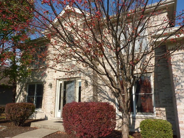 4343 Dairymans Cir, Naperville, IL 60564 - photo 1