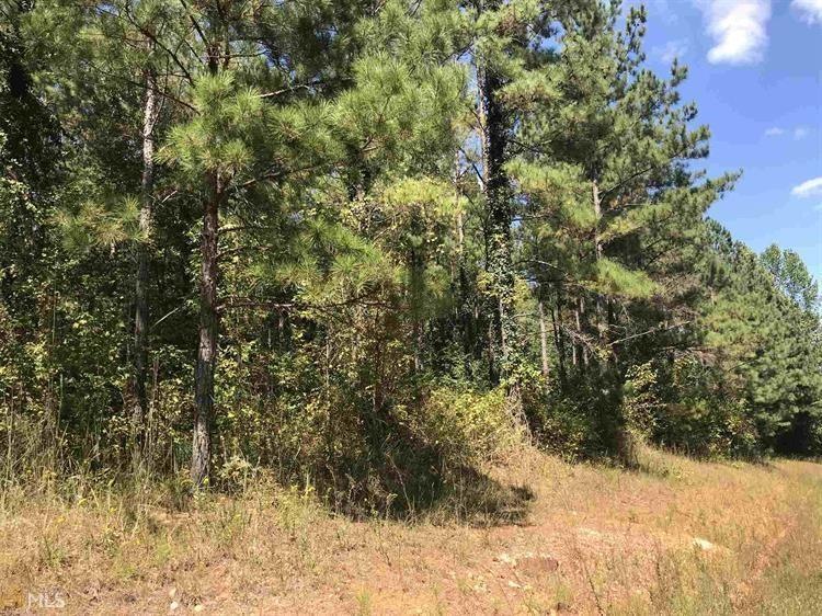 Tract Music Mill Rd, Waco, GA 30182 - photo 1