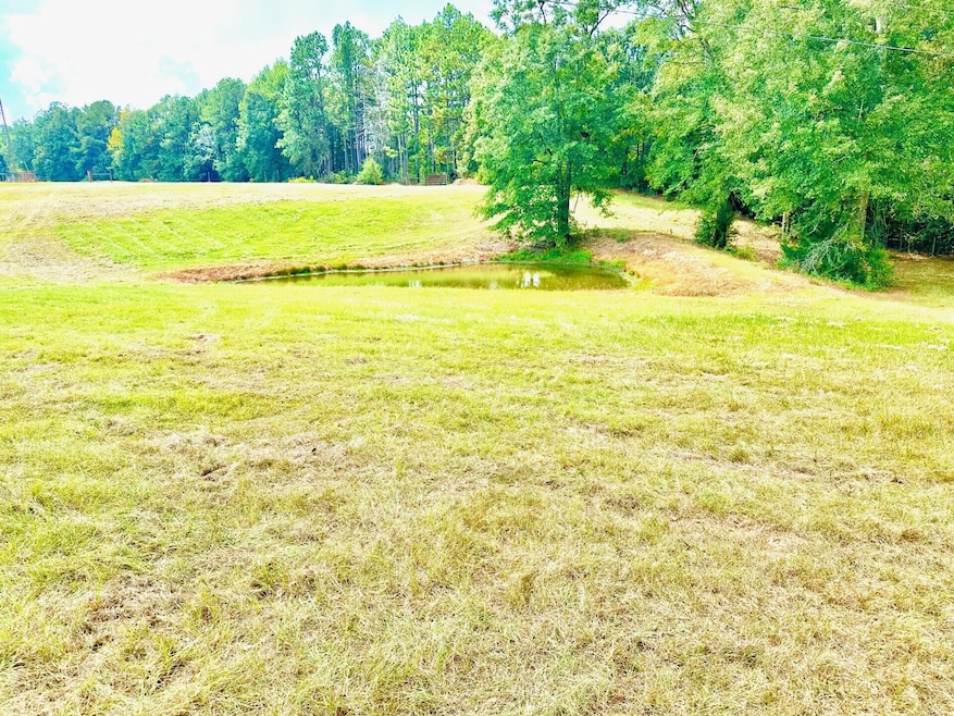 00 Beach Rd, Purvis, MS 39475 - photo 1