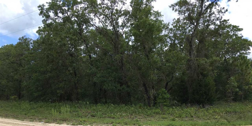 0 Turkey Oak Rd unit 145 270577, Keaton Beach, FL 32348 - photo 1