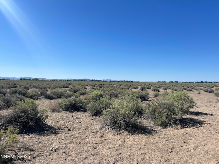 160 Acres Off of McGregor, Fallon, NV 89406 - photo 1