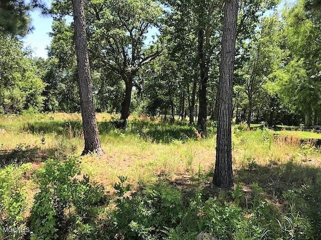 0 Forest St unit 3348643, Pass Christian, MS 39571 - photo 1