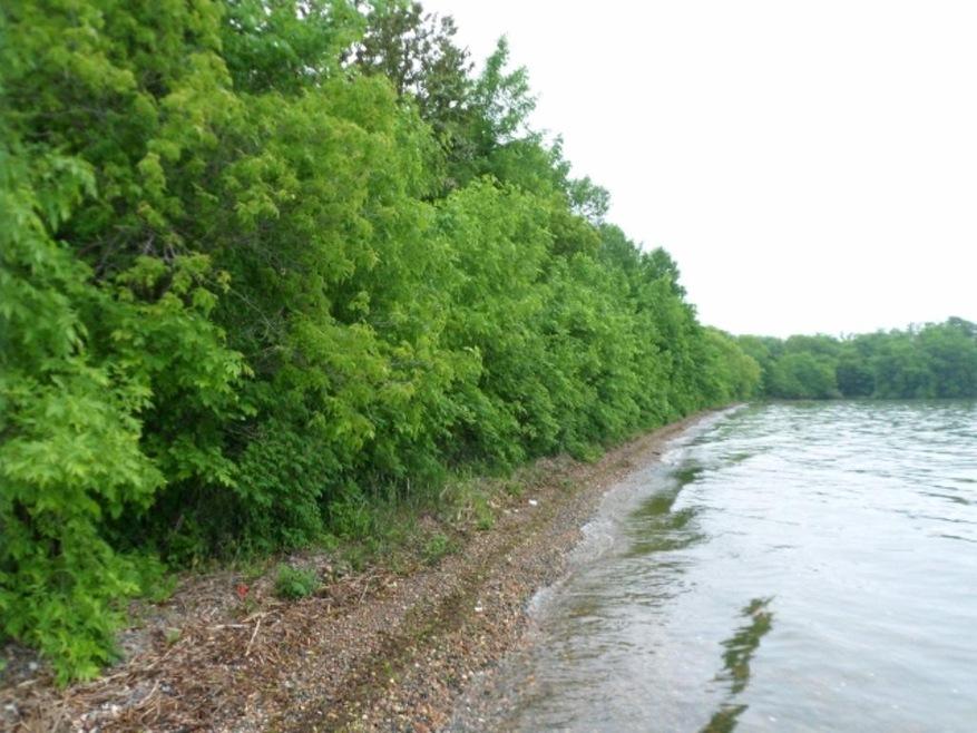 Awesome Shoreline!