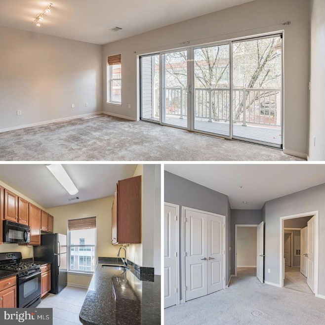 8045 Newell St unit 202, Silver Spring, MD 20910 - photo 1