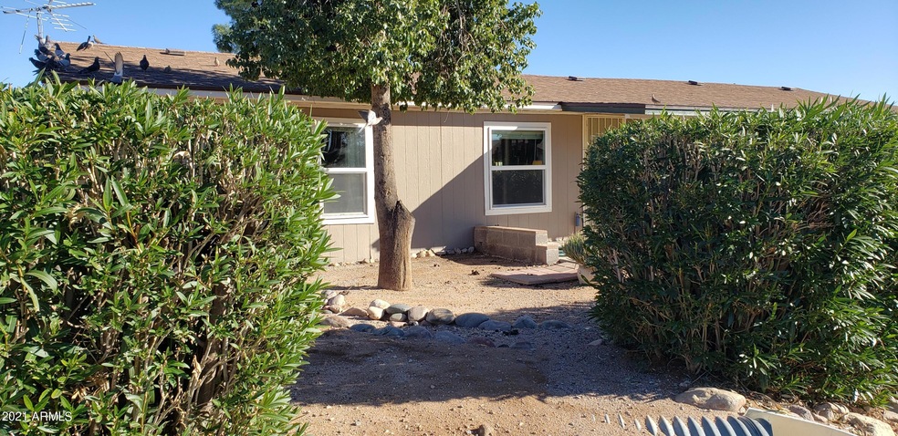 Saguaro Front Yard