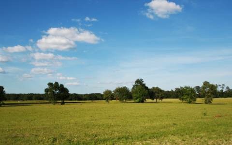 LOT50 Upstage Glen, Lake City, FL 32024 - photo 1