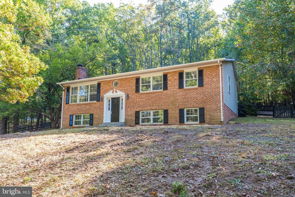 4041 Ebenezer Rd, Bluemont, VA 20135 - photo 1