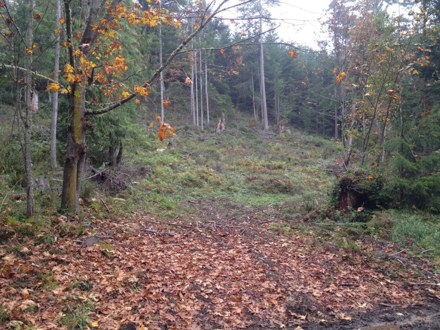 0 Fisk Rd E unit 693308, Orting, WA 98360 - photo 1