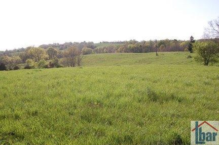 3742 Cummins Ferry Rd, Versailles, KY 40383 - photo 1