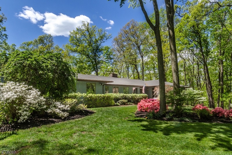 19 Pine Hill Rd, Annandale, NJ 08801 - photo 1