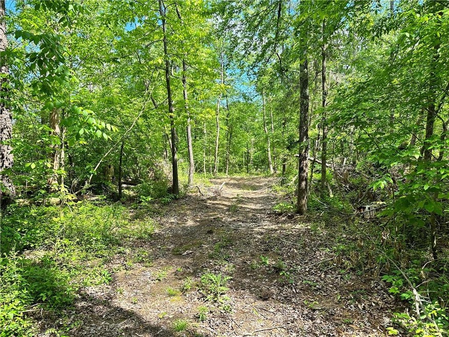 0 Hendricks Rd unit 7210893, Rydal, GA 30171 - photo 1