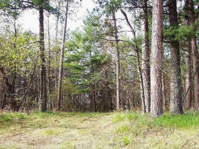 0 Hwy A unit 4662381, Webster, WI 54893 - photo 1