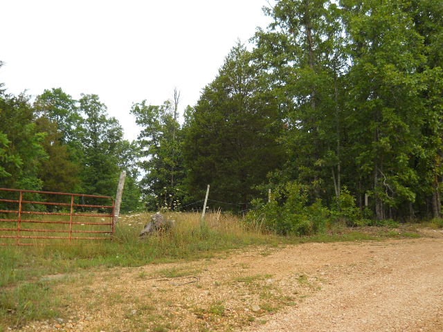 Primary Photo
