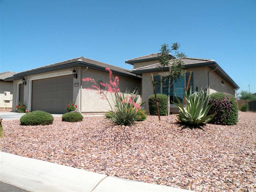 Front Yard