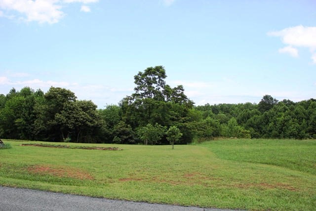 Main Listing Photo