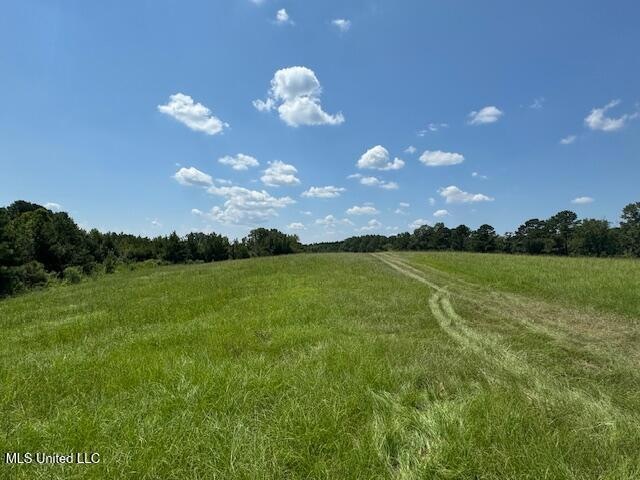 Pasture