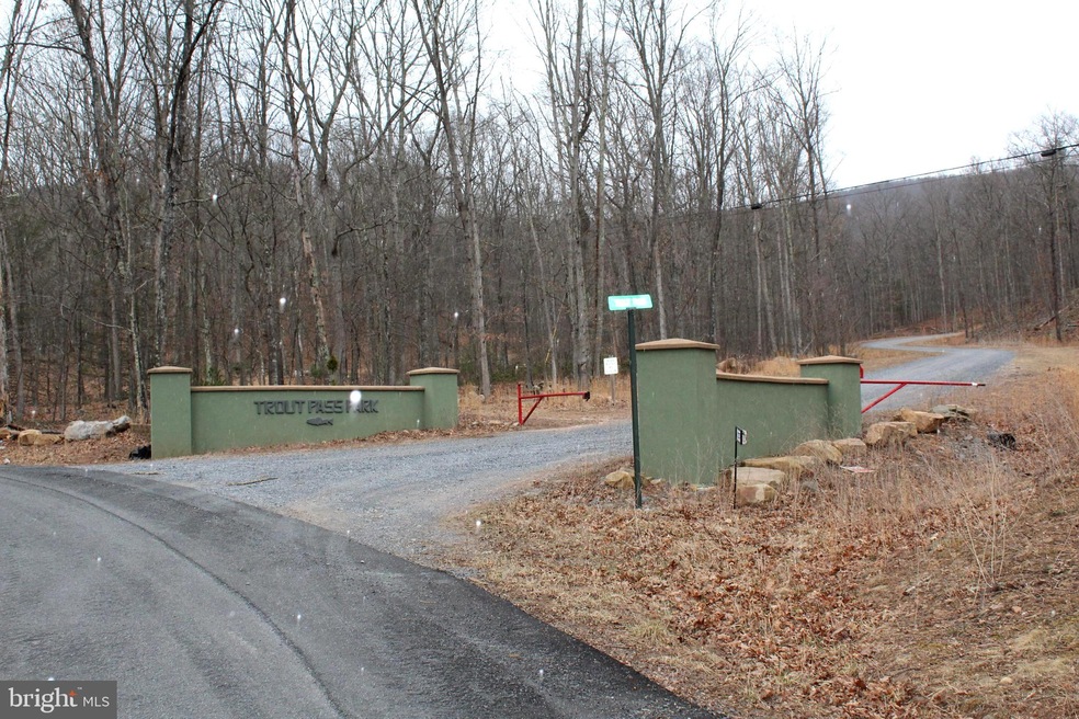 LOT 4 Helmick Rock-Trout Pass Rd, Mathias, WV 26812 - photo 1