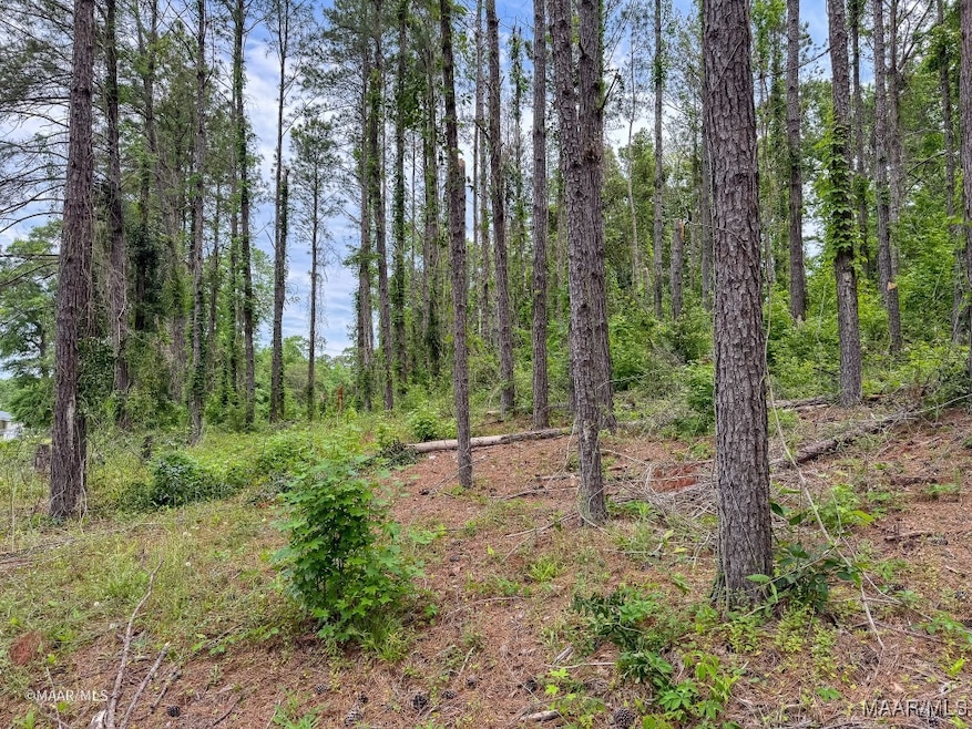 Sold $185,000 • Co-Listing Agent