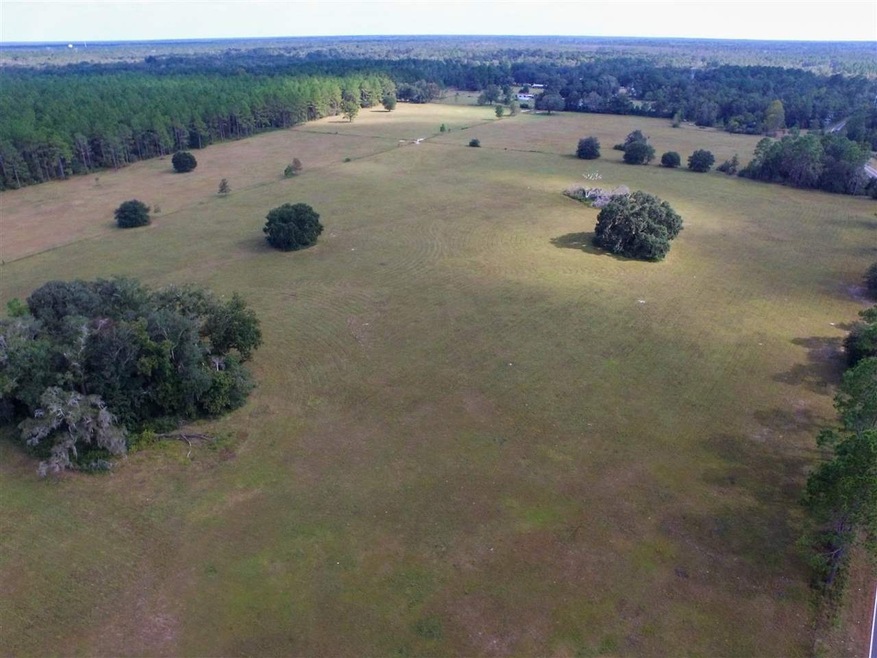 129 Cajer Posey Rd, Crawfordville, FL 32327 - photo 1