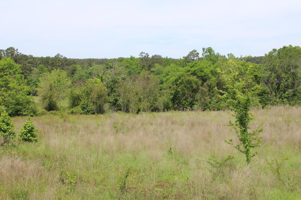 0 Cr 820 unit 62479, Nacogdoches, TX 75969 - photo 1