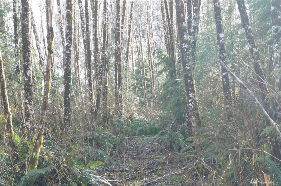 0 U S 101, Raymond, WA 98577 - photo 1