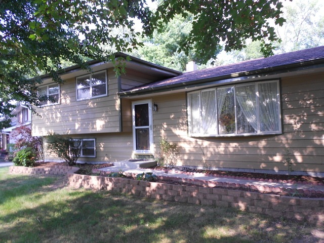 1100 N Wright St, Naperville, IL 60563 - photo 1