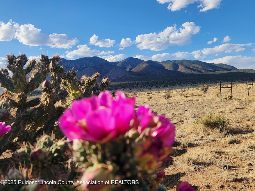 L4 O Bar O Rd, White Oaks, NM 88301 - photo 1