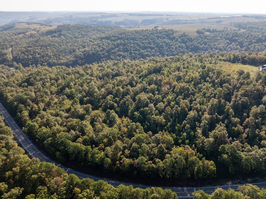 000 Hwy 9, Rushing, AR 72051 - photo 1