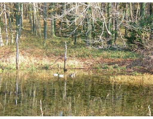 0 Brick Kiln Rd unit 71634984, Falmouth, MA 02574 - photo 1