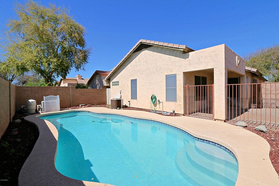 Backyard 2