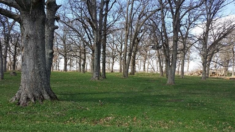 119 E 900 S, Kouts, IN 46347 - photo 1