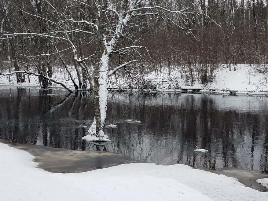 0 Thornapple Ln unit 22201024, Tomahawk, WI 54487 - photo 1