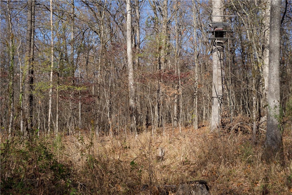 0 Big Spring Rd unit 1235038, Winslow, AR 72959 - photo 1