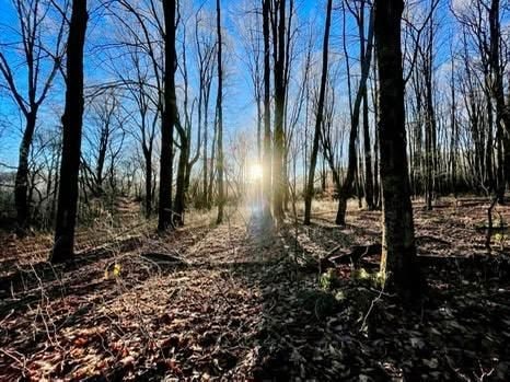 Town Line Rd, McGraw, NY 13101 - photo 1