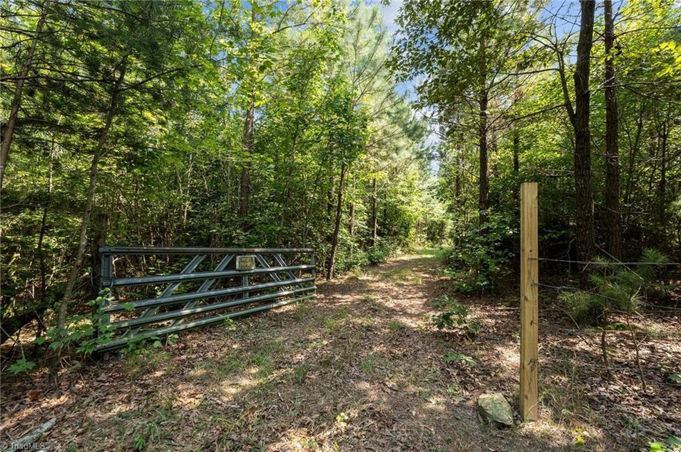 0 Holman Mill Rd unit 1151566, 8, Newlin, NC 27349 - photo 1