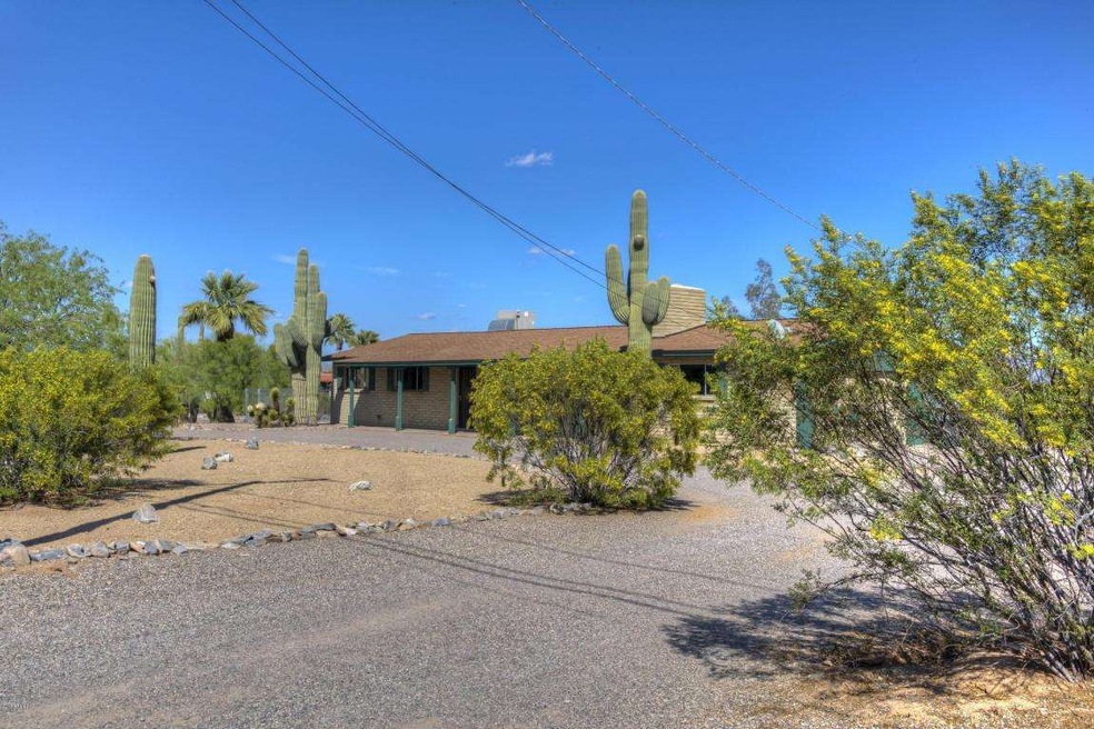 Desert Landscaping