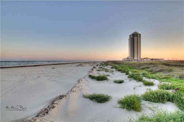 Palisade Palms in Galveston - Premiere High Rise C